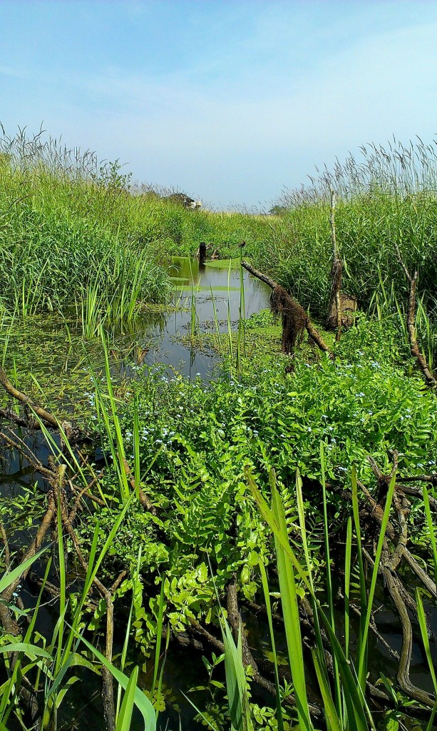 Het landschap van de Drentsche Aa trekt een streep door alle generatiegrenzen. Op sommige plekken lijkt de tijd eenvoudig stil te staan.