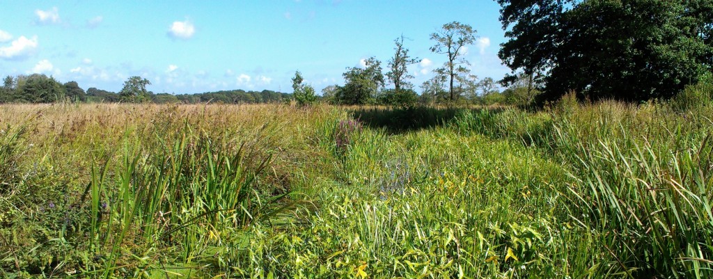 Het landschap van de Drentsche Aa oefend een enorme aantrekkingskracht uit op Henk en Janetta. Al jarenlang houden zij zich bezig met het vastleggen van de prachtige natuur in dit gebied. Als geen ander weten zij dan ook de meest mooiste plekjes te vinden. Henk: 'Ooit willen we dit gebied nogmaals gaan verfilmen. Om te kijken wat er is veranderd...of niet natuurlijk...'